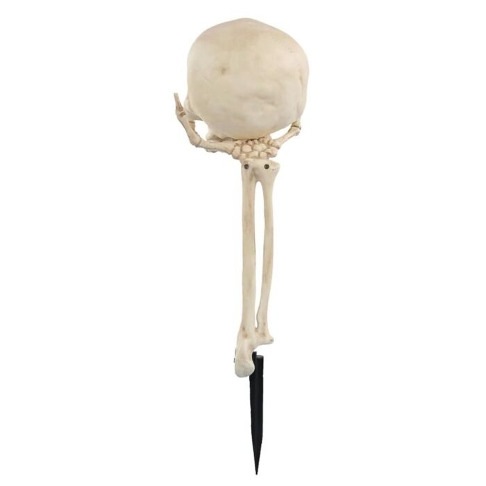 My Party Suppliers Skull in Hand Ground Breaker Lawn Decoration,Halloween Horror Buried Alive Skeleton Skull Ornament Garden Yard Lawn Decoration Festival Prank Crafts Halloween Decoration - Image 2