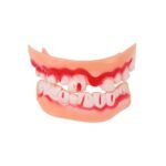 MPS My Party Suppliers Halloween Decoration Theme Costume Party, Fake Teeth for Halloween Makeup Real, Vampire Zombie Teeth with Blood Splattered, Bloody Artificial Denture Prop for Halloween - Image 3