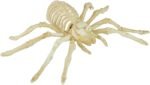Set of 2 Light Up Halloween Spider & Scorpion Skeleton Decoration for Halloween Indoor/Outdoor Decor, and Halloween Holiday Party, LED Halloween Spider - Image 5