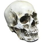 My Party Suppliers Big Size 3 Piece Halloween Horror Buried Alive Skeleton Skull Ornament Garden Yard Lawn Decoration Festival Prank Crafts Halloween Decoration - Image 2