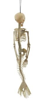 Posable Full Body Mermaid Halloween Skeleton Ornament, Hanging Skeleton Halloween Decor Halloween Hang Skull Doll Chamber Funny Mischievous Prop Skeleton Decor 15" Mermaid Skeleton Hanging - Image 2