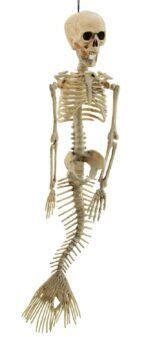 Posable Full Body Mermaid Halloween Skeleton Ornament, Hanging Skeleton Halloween Decor Halloween Hang Skull Doll Chamber Funny Mischievous Prop Skeleton Decor 15" Mermaid Skeleton Hanging - Image 3