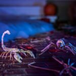 Set of 2 Light Up Halloween Spider & Scorpion Skeleton Decoration for Halloween Indoor/Outdoor Decor, and Halloween Holiday Party, LED Halloween Spider - Image 7