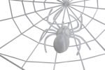 White Spider Web with Spider for Halloween Party Outdoor Decorations, Halloweeen Decor Spider Web, Plastic Spider Web for Haloween Decorations - Image 2
