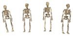 Halloween Skeleton Garland, 3D Halloween Hanging, 3D Skeleton Hanging, Halloween Decoration, Halloween Party Supply - Image 2