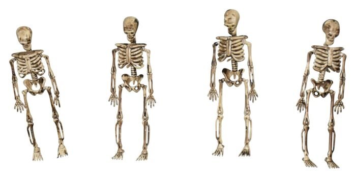 Halloween Skeleton Garland, 3D Halloween Hanging, 3D Skeleton Hanging, Halloween Decoration, Halloween Party Supply - Image 2