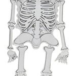 MPS MY PARTY SUPPLIERS® 1pc Halloween Skeleton balloon Halloween theme foil balloons decorations Kids halloween party supplies