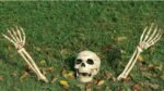 My Party Suppliers Big Size 3 Piece Halloween Horror Buried Alive Skeleton Skull Ornament Garden Yard Lawn Decoration Festival Prank Crafts Halloween Decoration