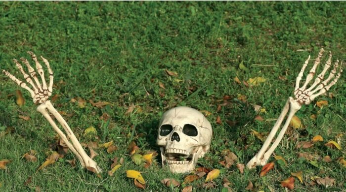 My Party Suppliers Big Size 3 Piece Halloween Horror Buried Alive Skeleton Skull Ornament Garden Yard Lawn Decoration Festival Prank Crafts Halloween Decoration - Image 1