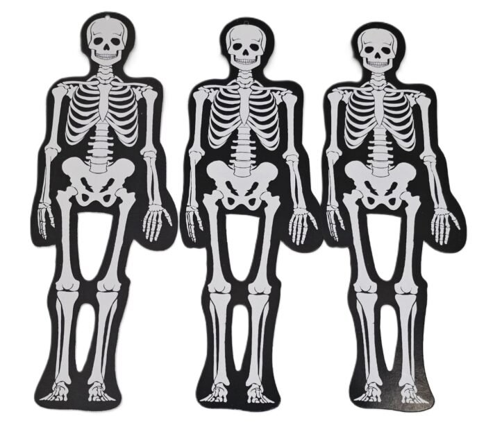 MPS My Party Suppliers Halloween Skeleton Decoration, Halloween Hanging Skeleton Garland, Skeleton Hanging Decor, Halloween Hanging Decor for Home, Office, Skull Head Props, Halloween Decoration - Image 4