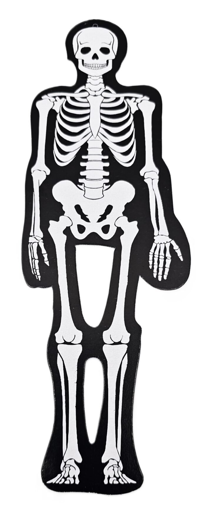 MPS My Party Suppliers Halloween Skeleton Decoration, Halloween Hanging Skeleton Garland, Skeleton Hanging Decor, Halloween Hanging Decor for Home, Office, Skull Head Props, Halloween Decoration - Image 3