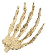 Skeleton Hand Garland Decor, Skeleton Bone Halloween Decoration, Hanging Skeleton Hands, Bone Hands Halloween Decorations, Scary Skeleton Hands Garland Necklace Halloween Party (Set of 8) - Image 5