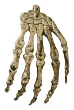 Skeleton Hand Garland Decor, Skeleton Bone Halloween Decoration, Hanging Skeleton Hands, Bone Hands Halloween Decorations, Scary Skeleton Hands Garland Necklace Halloween Party (Set of 8) - Image 9