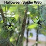 MY PARTY SUPPLIERS Green Spider Webs Halloween Decorations with 2 Fake Spiders, Super Stretchy Spider Web for Halloween Decor, Cobwebs Halloween Decorations - Image 2