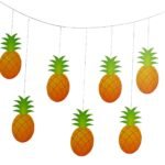 Pineapple Birthday Banner Watermelon Party Decorations