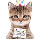 Cute the Cat Kitten Foil Balloon 75.5 X 36 cm